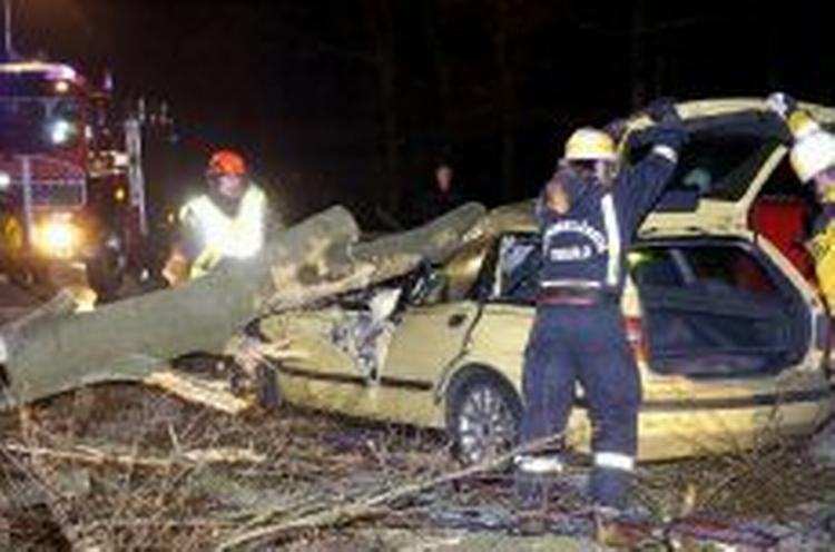 Et træ er faldet ned over en bil ved Malmøs lufthavn Sturup. - Foto: AP 