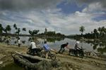 Folk hjælper hinanden over en nødbro i Banda Aceh i Indonesien. - Foto: AP 