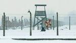 Også sidste år vendte tidligere fanger tilbage til Auschwitz. I år får de følgeskab af politikere og kongelige. - Foto: AP 
