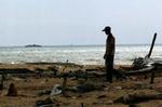 En ung mand ser modløst på ødelæggelserne, der fortsat præger strandene langs Sri Lankas kyst - her ved byen Colombo. - Foto: AP 