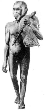 Sådan forestiller sig kunstneren Peter Schouten sig, at en mandlig jæger af Homo floresiensis kan have set ud for 13.000 år siden. 