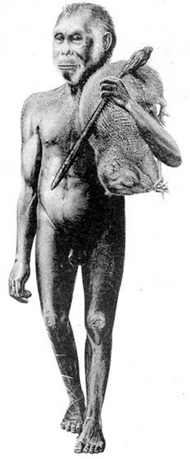 Sådan forestiller sig kunstneren Peter Schouten sig, at en mandlig jæger af Homo floresiensis kan have set ud for 13.000 år siden. 