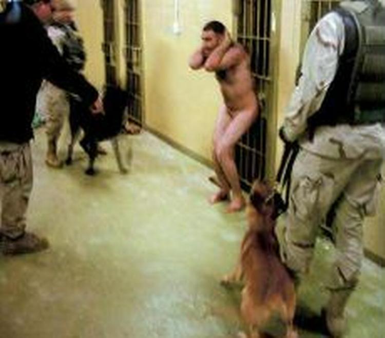 En irakisk fange omringet af frådende hunde i det berygtede Abu Ghraib-fængsel. - Arkivfoto: AP 
