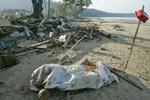 Et lig er skyllet i land på stranden i Khao Lak, Thailand. - Foto: AP 