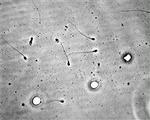 No name