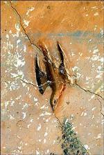 Detalje fra en af de nyligt fundne fresker, der tilskrives Leonardo da Vinci. 