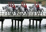 Hærens heste bor i Slagelse og har gode tænder. Der er hverken brug for flourskyldninger eller broarbejder, vurderer forsvaret. - Arkivfoto: Jens Dresling 