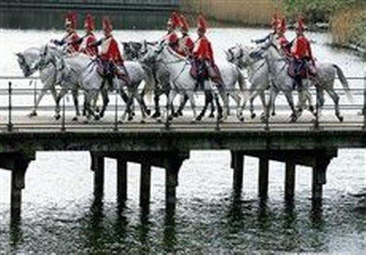 Hærens heste bor i Slagelse og har gode tænder. Der er hverken brug for flourskyldninger eller broarbejder, vurderer forsvaret. - Arkivfoto: Jens Dresling 