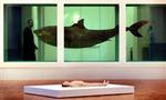 Damien Hirsts installation 'The Physical Impossibility of Death in the Mind of Someone Living' 