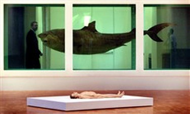 Damien Hirsts installation 'The Physical Impossibility of Death in the Mind of Someone Living' 