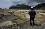 Store skovområder på Sumatra blev revet væk af flodbølgerne. - Foto: AP 