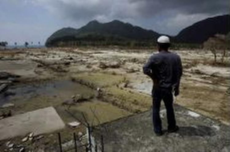 Store skovområder på Sumatra blev revet væk af flodbølgerne. - Foto: AP 