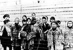 Børn fotograferet lige efter de russiske troppers befrielse af Auschwitz 27. januar 1945. - Foto: AP 