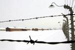 Mindst 1,1 millioner mænd, kvinder og børn døde i Auschwitz. Størstedelen af dem var europæiske jøder, der blev dræbt i gaskamrene i den mest effektive af nazisternes dødslejre. - Foto: AP. 