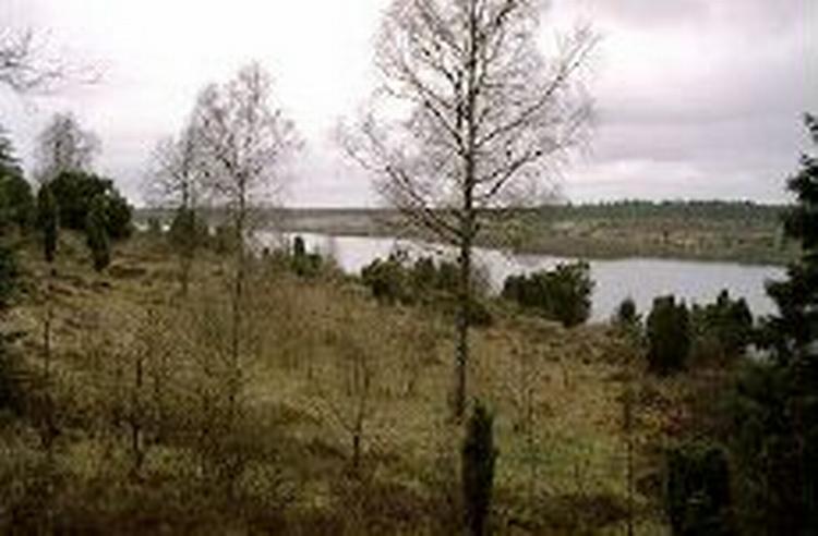 Det nyskabte og snoede å-løb er blevet et af Danmarks vigtigste ferskvandsområder. - Foto: Morten Langkilde 
