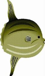 Det er endnu ikke besluttet, hvad den nye klumpfisk skal hedde. 