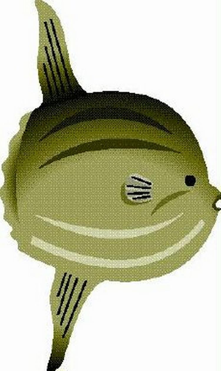 Det er endnu ikke besluttet, hvad den nye klumpfisk skal hedde. 