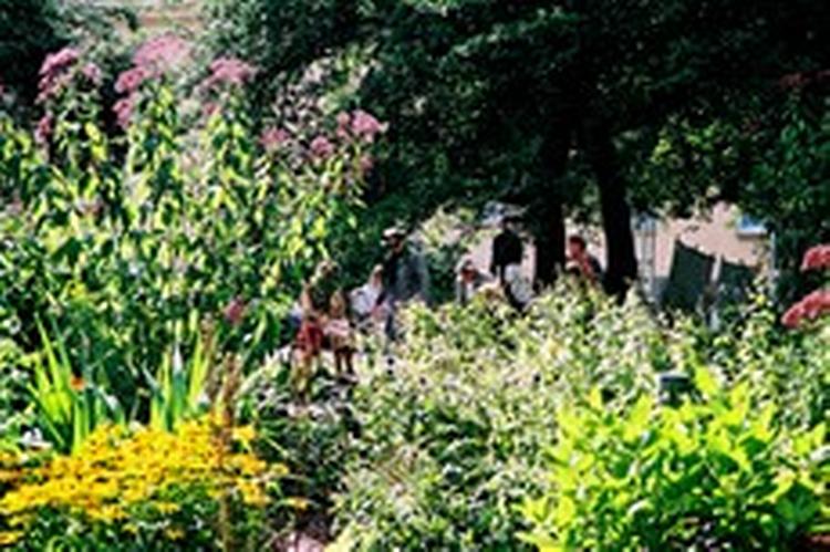 Sinnanäs Trädgård i Stockholm, hvor demensramte ældre kan lave havearbejde ogmpå den måde forsinke udviklingen af demens. - Privatfoto 