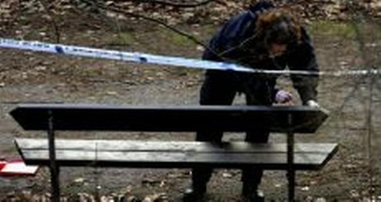 Svensk politi undersøger den bænk, hvor den svenske millionærarving, Fabian Bengtson, 3. februar blev fundet efter at have været forsvundet i 17 dage. Nu de svenske myndigheder udsendt en international arrestordre. - Arkivfoto: A 