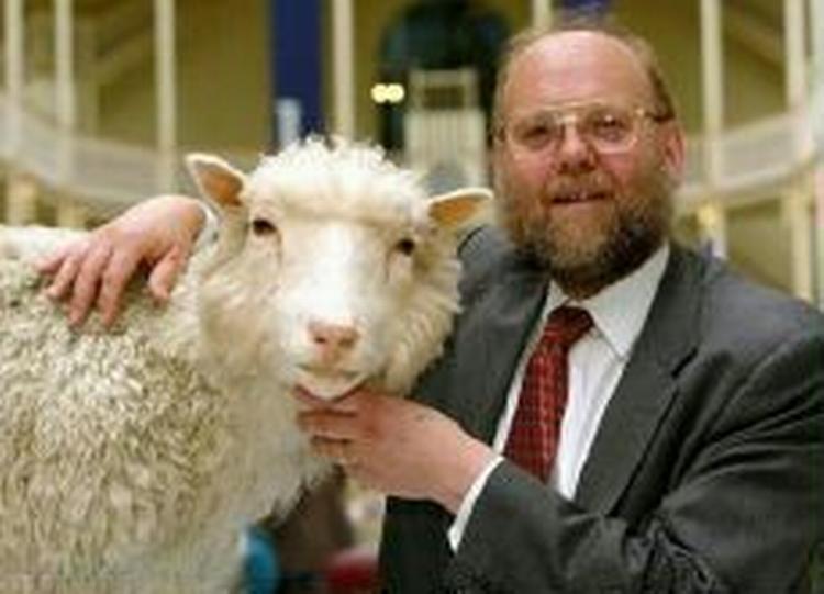Professor Ian Wilmut, der her ses med det klonede får Dolly, har fået lov at klone menneskefostre. Det skal på sigt hjælpe patienter med ALS, en form for muskelsvind. - Arkivfoto: AP 