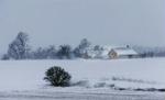 Sneen giver store problemer i især Nordsjælland og i Nordjylland til morgen. - Foto: Anders Brohus/POLFOTO 