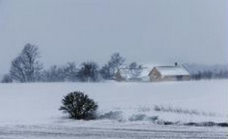 Sneen giver store problemer i især Nordsjælland og i Nordjylland til morgen. - Foto: Anders Brohus/POLFOTO 