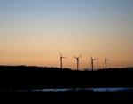 Vindmøller, rockwool og lavenergipumper er eksempler på energisparende teknologier, som Danmark er førende inden for. - Arkivfoto: Thomas Borberg 