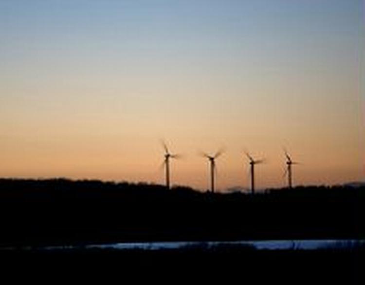 Vindmøller, rockwool og lavenergipumper er eksempler på energisparende teknologier, som Danmark er førende inden for. - Arkivfoto: Thomas Borberg 