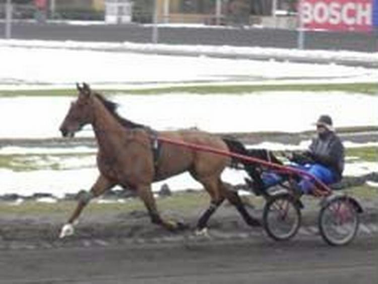 Ellington i fin stil i tre lette heats 