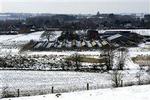 Minkfarme skal fjernes, og regningen går til skatteyderne. Folketinget kræver en forklaring. - Foto: Lars Skaaning 