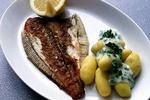 BON APPETIT. »Set fra fiskenes synspunkt er havet alt«, begynder Merete Pryds Helles nye roman. Og så er det jo ikke sjovt at ende på en tallerken med kartofler og sovs.   Arkivfoto: Morten Bjørn Jensen 