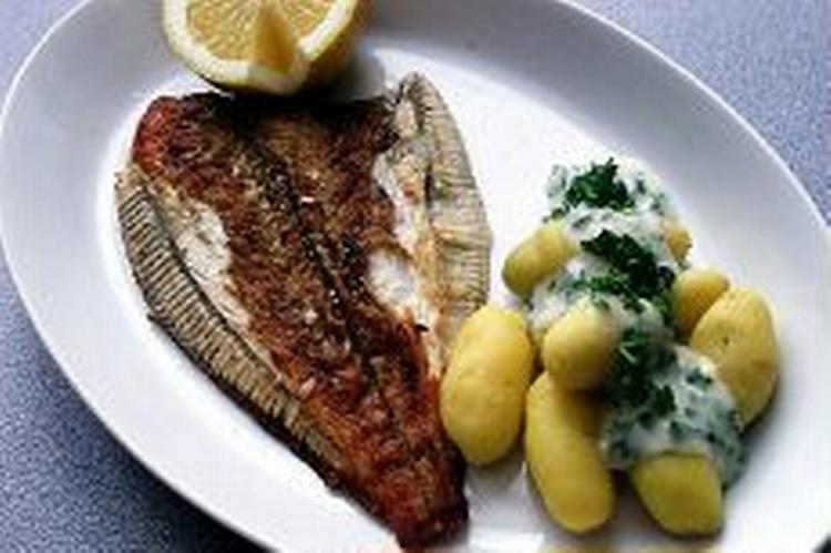 BON APPETIT. »Set fra fiskenes synspunkt er havet alt«, begynder Merete Pryds Helles nye roman. Og så er det jo ikke sjovt at ende på en tallerken med kartofler og sovs.   Arkivfoto: Morten Bjørn Jensen 