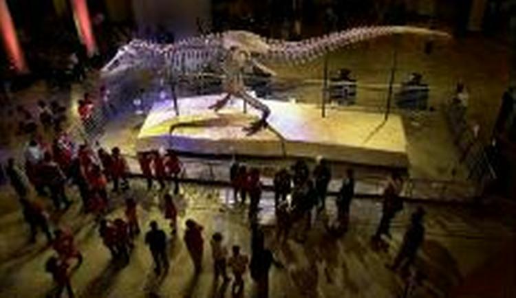 Det mest komplette skelet af en Tyrannosaurus Rex er udstillet på et naturhistorisk museum i Chicago. - Arkivfoto: AP 
