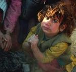 En gruppe flygtninge varmer hænderne ved et bål i flygtningelejren Chaman-e-Ozuri i Afghanistan. - Arkivfoto: AP 
