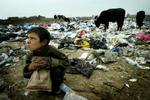 En irakisk dreng på en losseplads spiser resterne af en amerikansk feltration. - Foto: Thomas Sjørup 