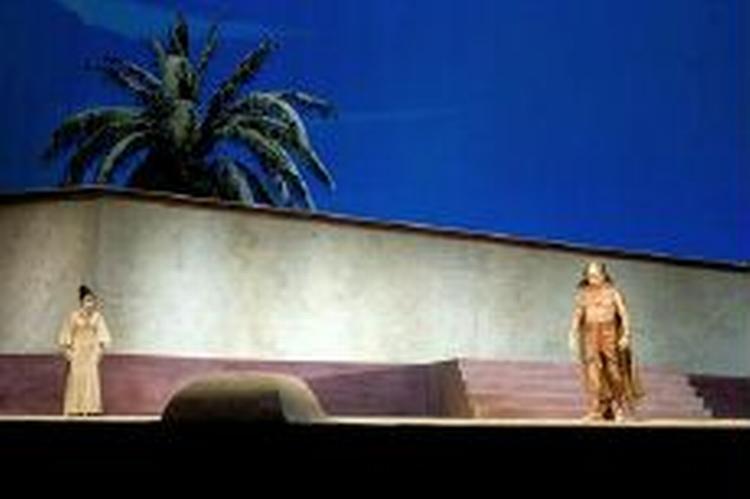Teaterchef Michael Christiansen mener ikke, at tæppet kan bruges før en opera som Aida. - Foto: Kim Nielsen 