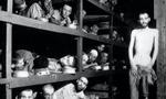 Mange jøder havnede i den tyske kz-lejr Buchenwald. Billedet her er taget få dage efter amerikanske tropper havde befriet lejren. - Foto: AP 