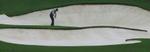 Tiger Woods omringet af sand på 8. hul. - Foto: AP 