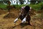 CHINA EBOLA