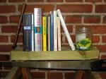 UDENDØRSBIBLIOTEKET. Hvis fruen ikke vil have flere bøger indenfor, så lav reolerne udenfor! Bibliopaten er for længst i gang med sit ambitiøse friluftsprojekt.   Foto: Pattypix 