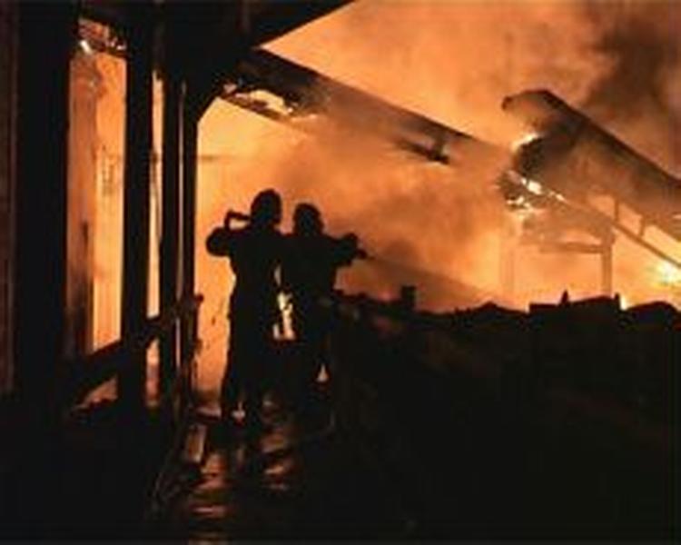 Det lykkedes brandfolkene at forhindre at branden bredte sig til skoven. - Foto: LocalEyes 