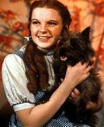 Den er meget kostbar, kjolen, som Judy Garland bar i  Troldmanden fra Oz . Nu skal den sælges for et beløb i omegnen af 400.000 kroner.   Foto: MGM 
