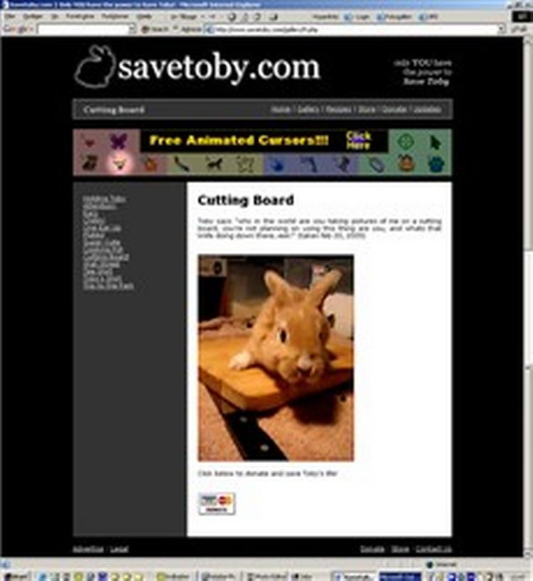 Den lille kanin Tobys liv svæver i en tynd tråd. På den onde, onde ejers webside finder man også opskrifter på kaninsteg. - Foto fra websiden 
