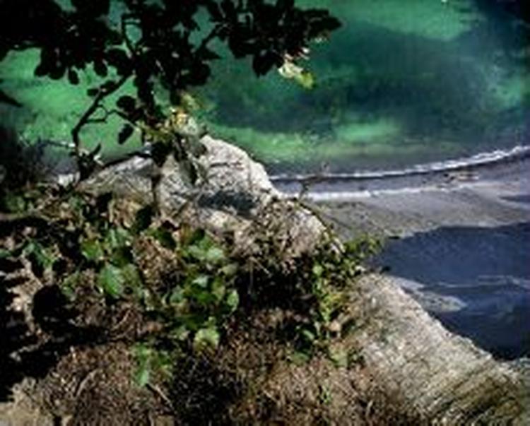 Manden blev fundet ud for den 130 meter høje klint 'Dronningestolen'. - Arkivfoto: Jacob Carlsen 