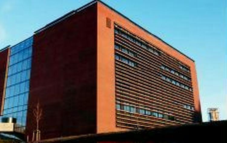 Det nye kunstmuseum i Århus er en stor succes. Men direktøren kan ikke få budgettet til at hænge sammen. - Foto: Rasmus Baaner 