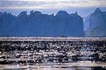Jakobshavn Isbræ flyder ud i Ilulissat Isfjord med en hastighed på 34 meter i døgnet.   Foto: Karsten Bidstrup 
