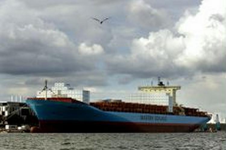 Det 352 meter lange containerskib 'Albert Mærsk' fragter gods mellem Asien og Europa. - Foto: Thomas Borberg 