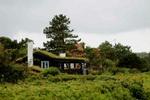 Foto: Claus Lunde 