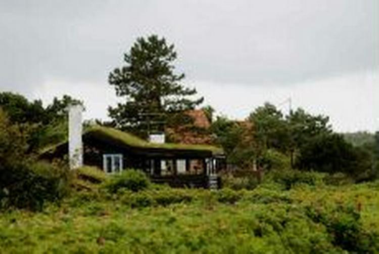 Foto: Claus Lunde 