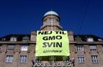 Under aktionen i oktober 2003 blev dette banner hængt op i det indre København. Det er terror, mener anklagemyndigheden tilsyneladende. - Arkivfoto: Miriam Dalsgaard 